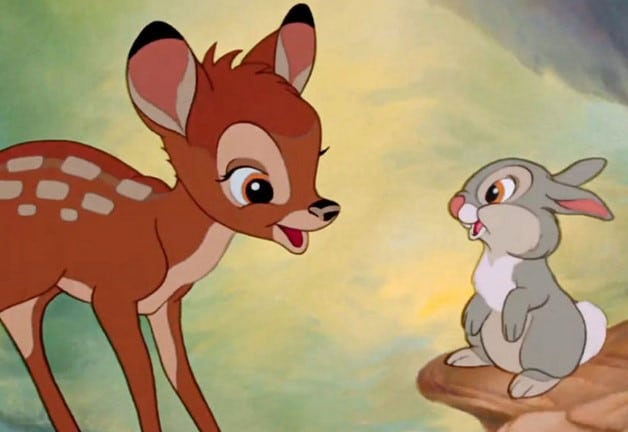 citation disney Bambi 