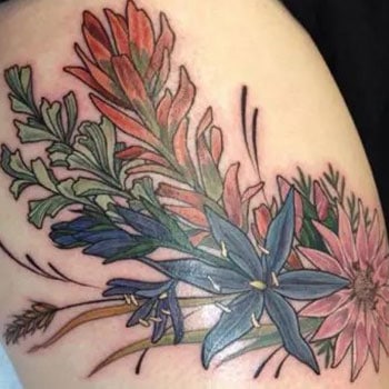 Couleurs Et Fleurs
