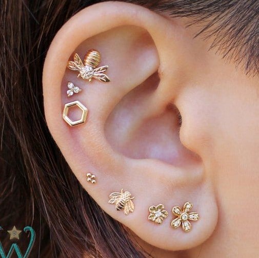 Piercings Insectes