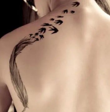 Plume Oiseaux tatouage 