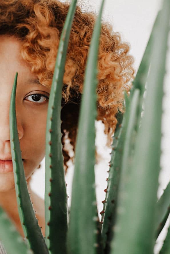 Aloe Vera Cheveux