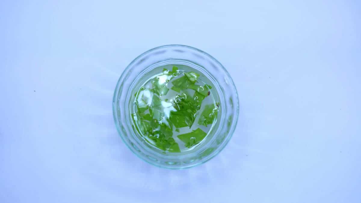 Aloe Vera Mixture Pour Cheveux