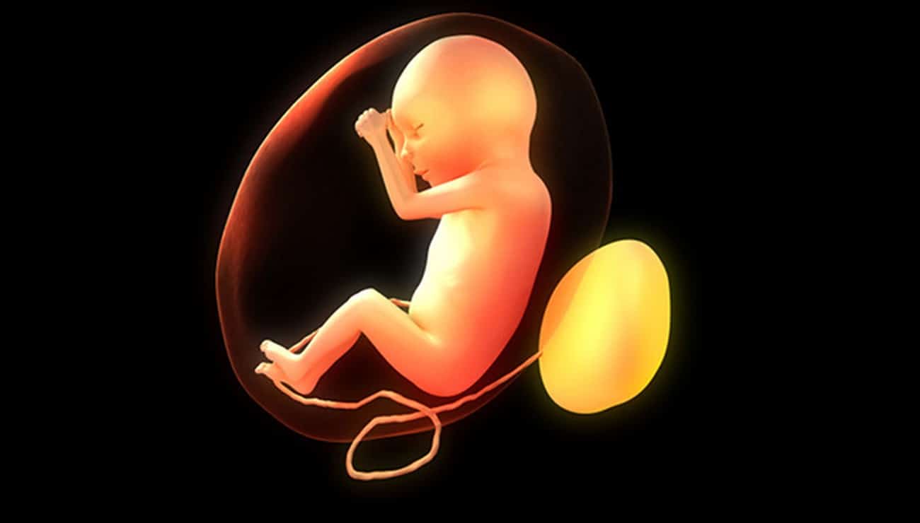 Grossesse Bebe Utilise Ses 5 Sens Avant Sa Venue Au Monde Grossesse Bebe Utilise Ses 5 Sens Avant Sa Venue Au Monde