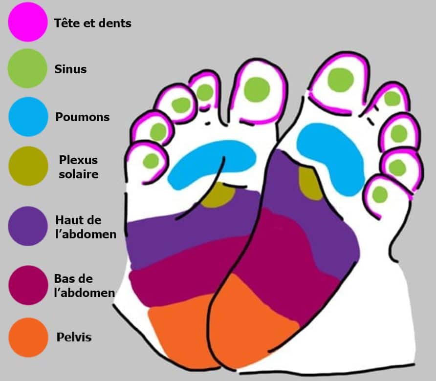 points reflexes Zone Pied Reflexologie