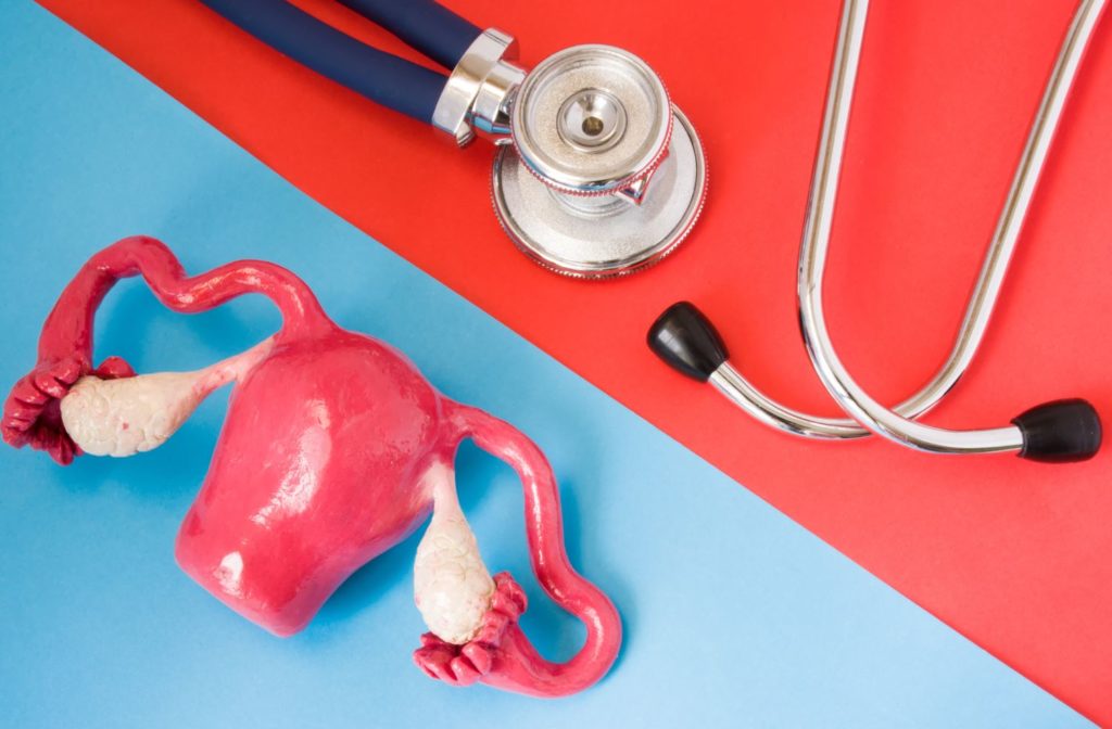 Gyneco Consultation Uterus