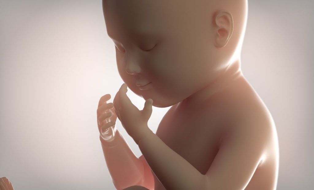 Echographie 4d Foetus