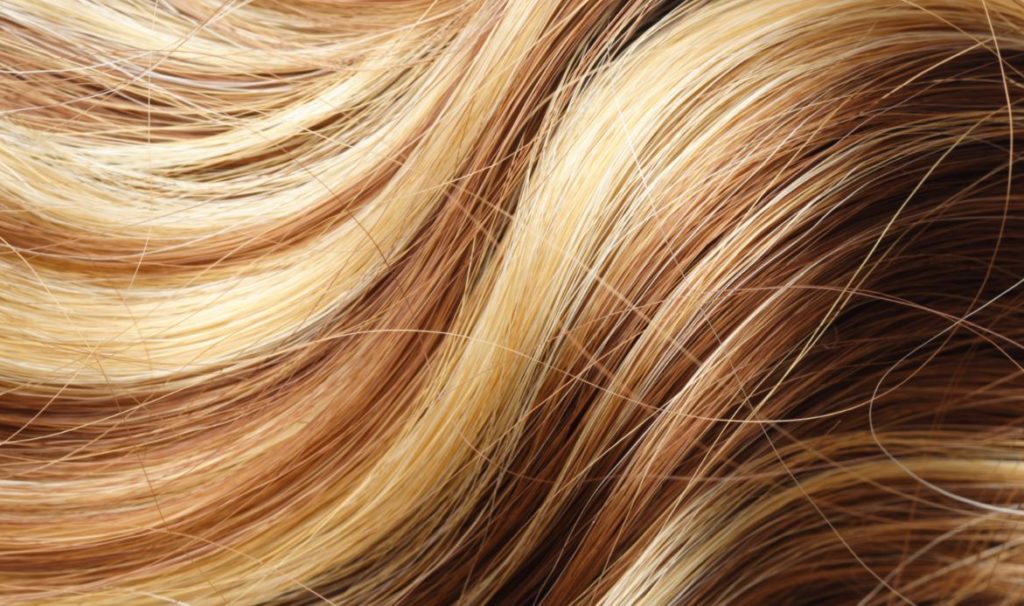 Mèches Blondes Cheveux