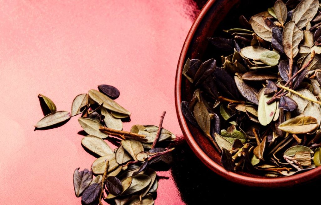 Bruyère Tisane Fleur