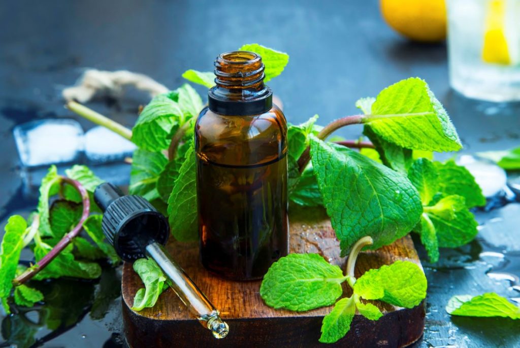 Menthe Poivrée Beauté Produit Naturel