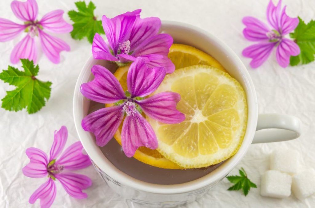 Tisane Fleur Violette