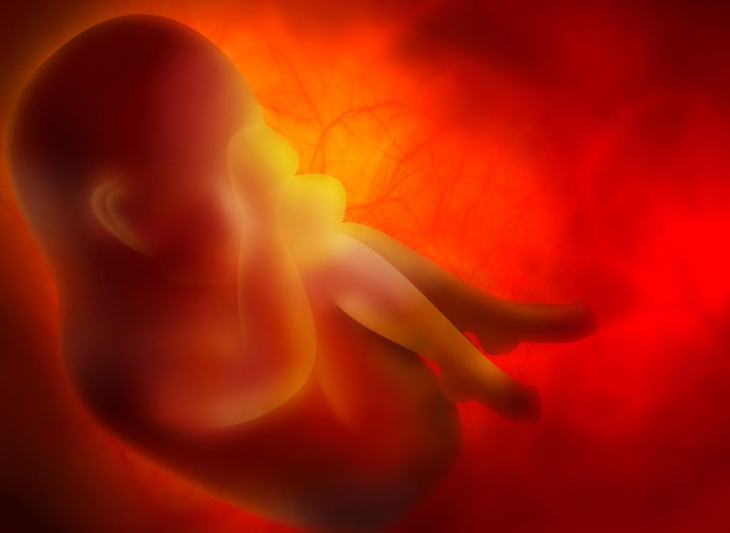 Bébé Grossesse Anomalie Oesophage