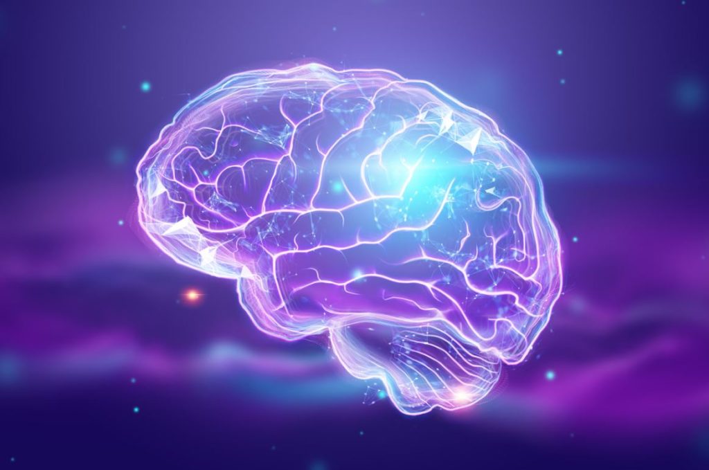Cerveau Zone Frontale Ouverture Esprit