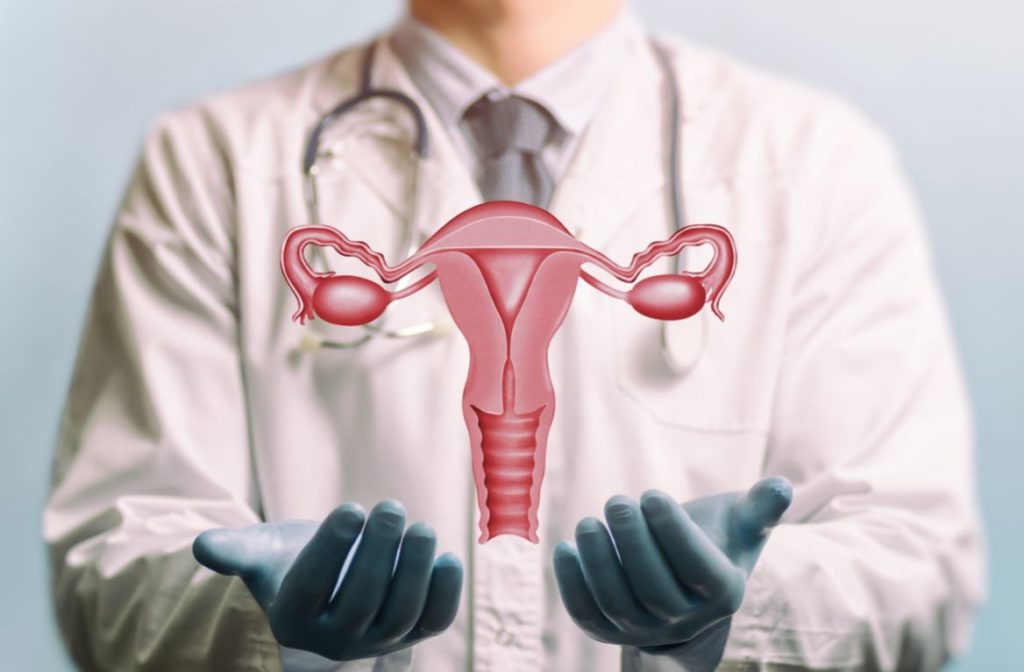 Fibrome Uterus