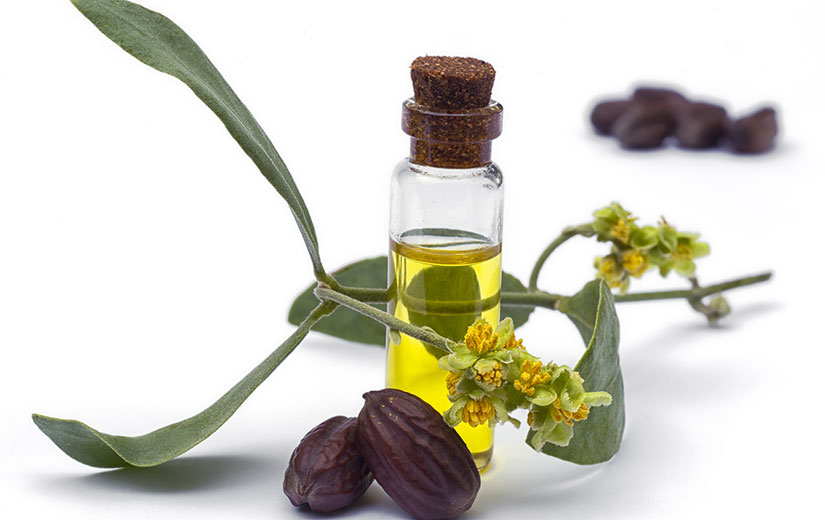 Huile De Jojoba Bienfaits