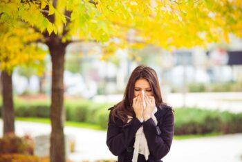 Allergie De Saison