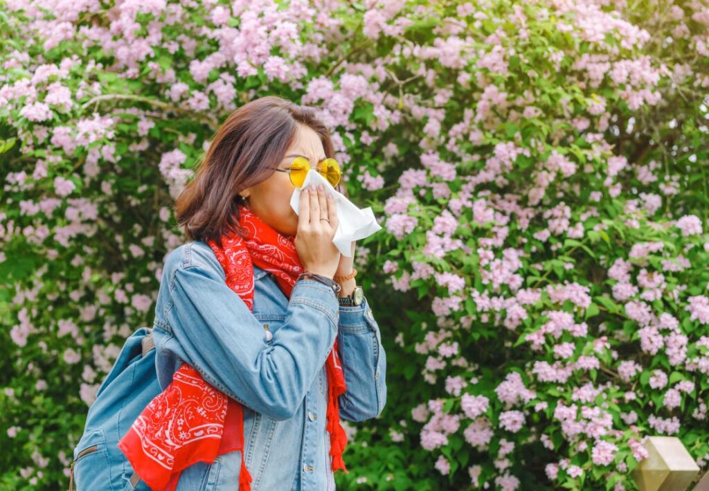 Allergies Respiratoires Prise En Charge