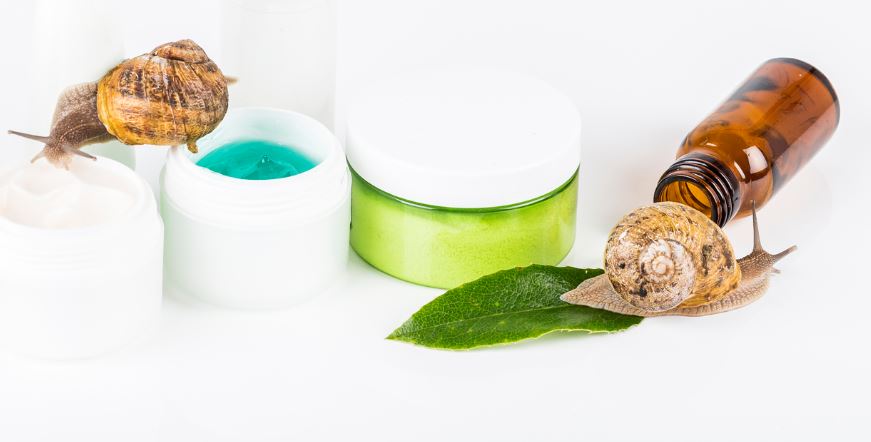 Bave Escargot Bienfaits Beaute
