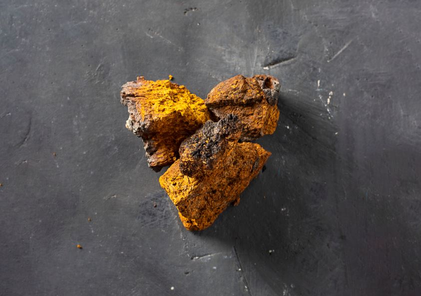 Bienfaits Du Chaga