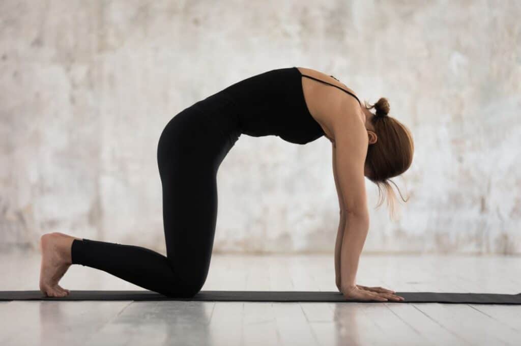 Hatha Yoga Position