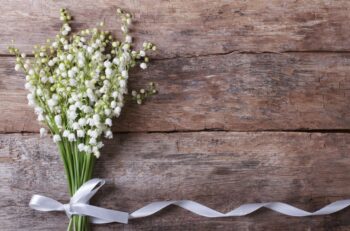 Noces De Muguet Mariage Anniversaire