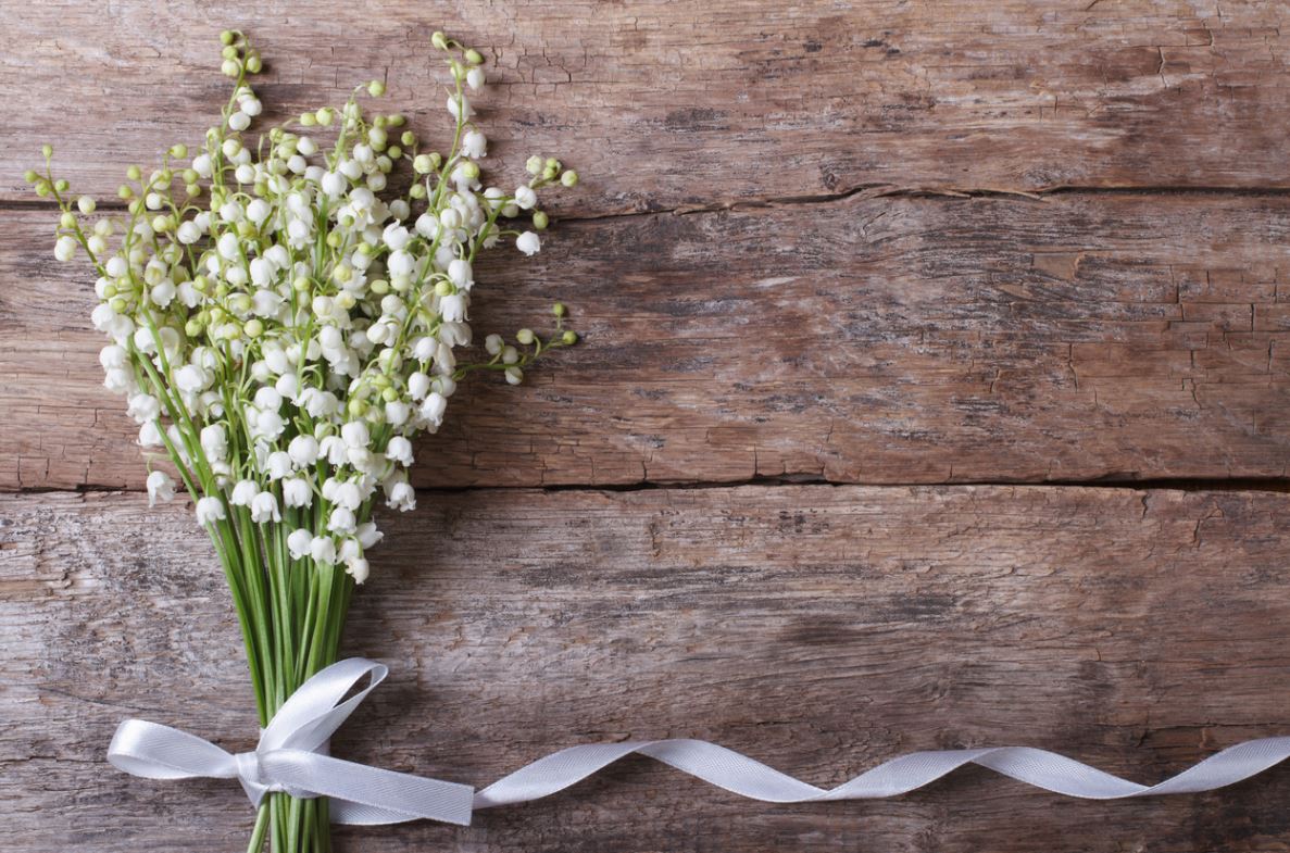 Noces De Muguet Mariage Anniversaire