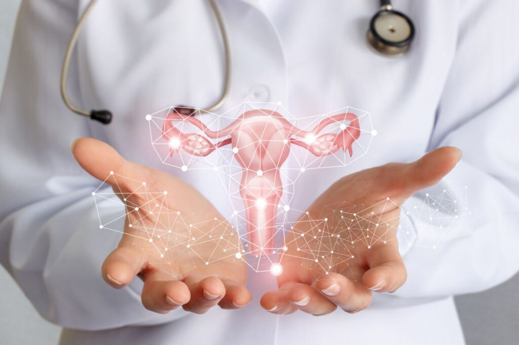 Gyneco Uterus