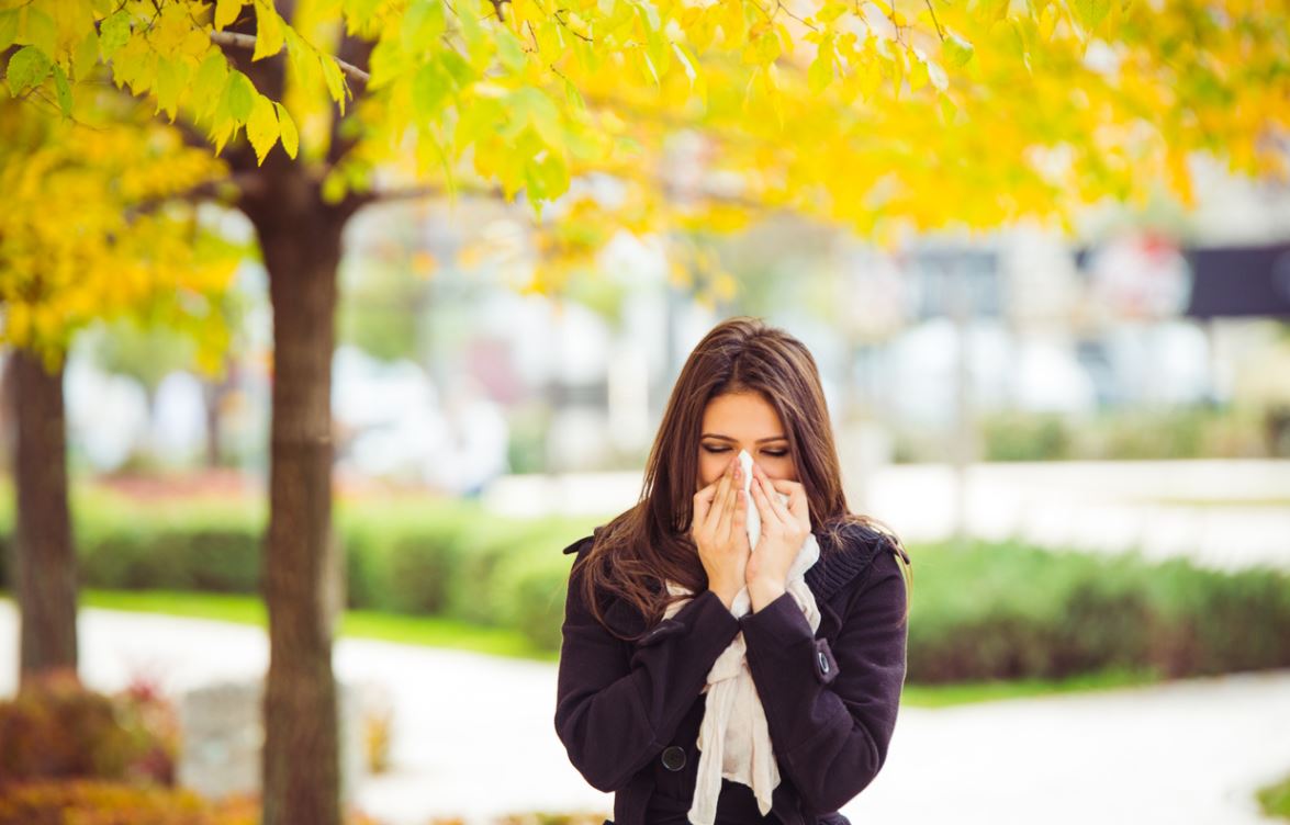 Rhume Des Foins Allergie Pollen