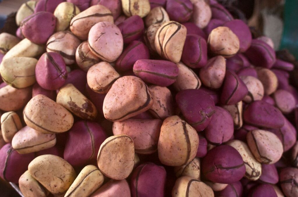 Noix De Kola