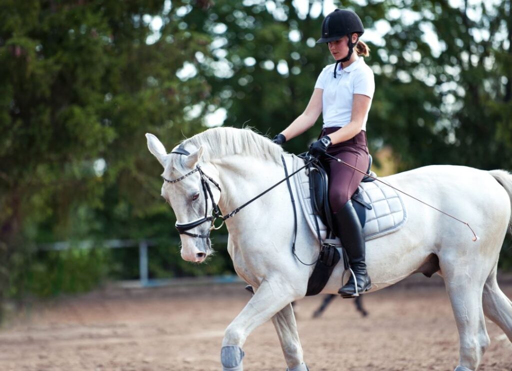 Femme Monte à Cheval