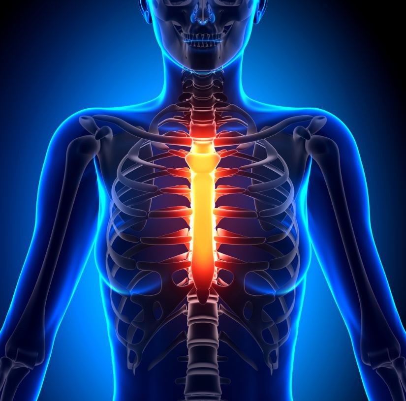 Sternum