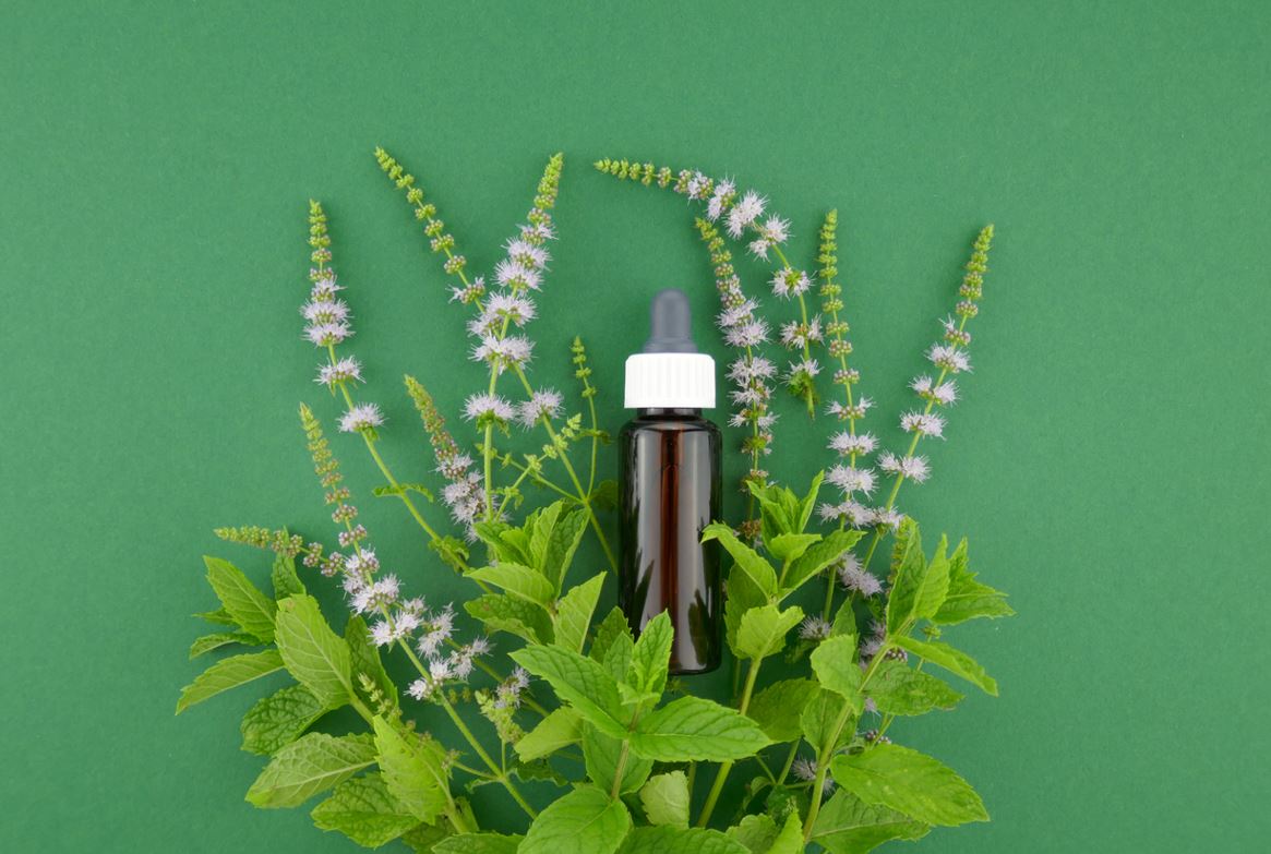 Menthe Bienfaits Beauté