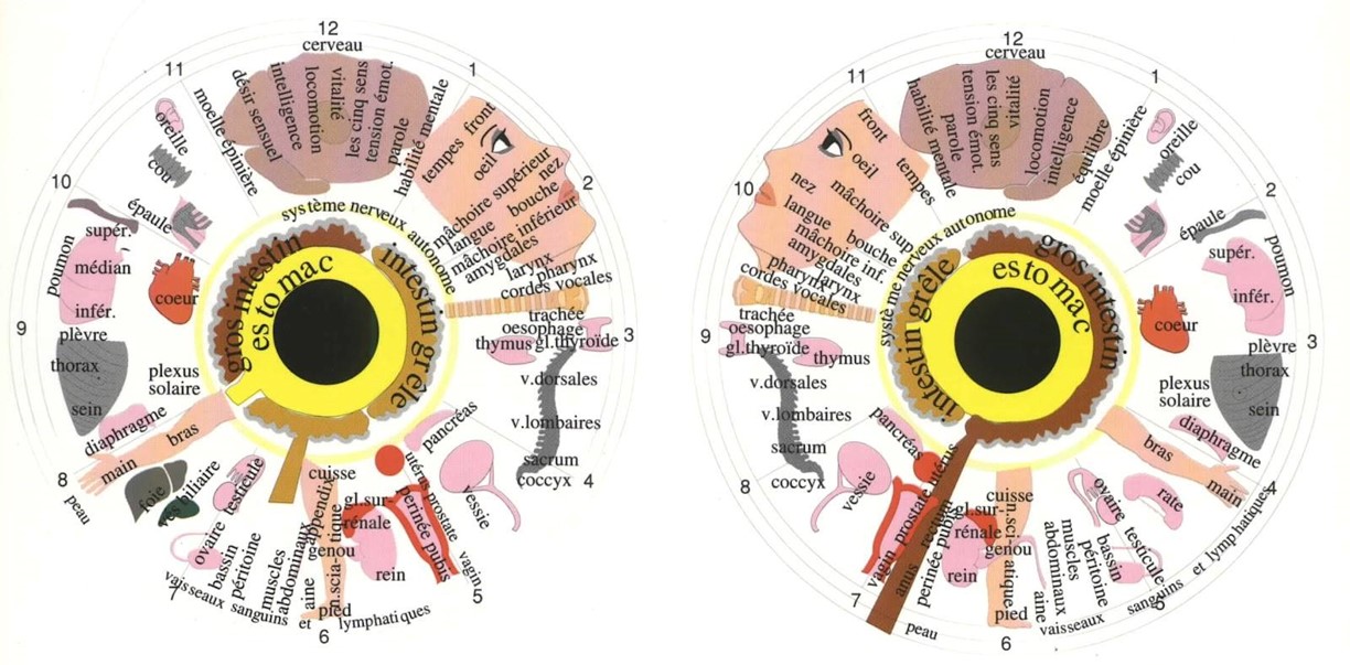 Iridologie Yeux