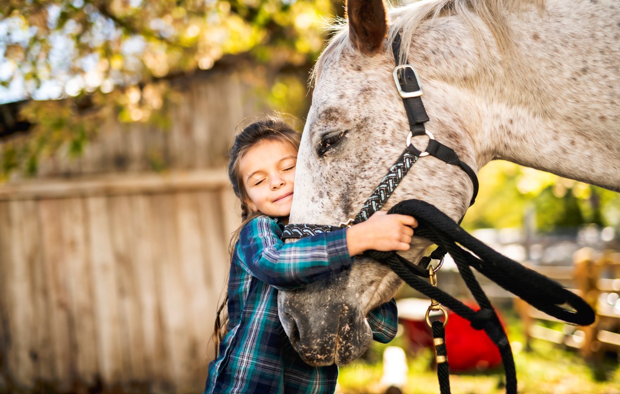 Enfant Calin Cheval