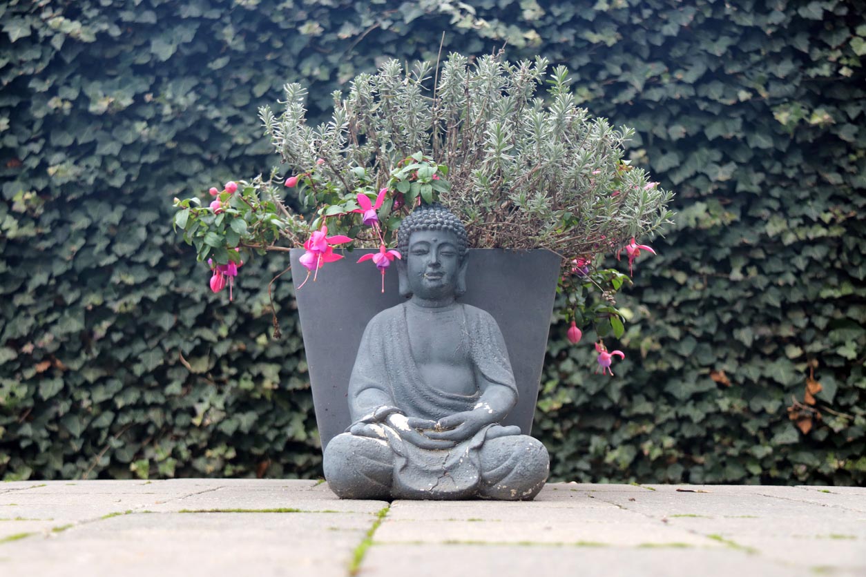 Un Bouddha dans les fleurs automne 