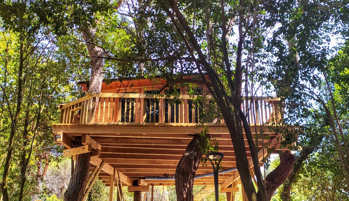 Nuit Cabane Dans Les Arbres