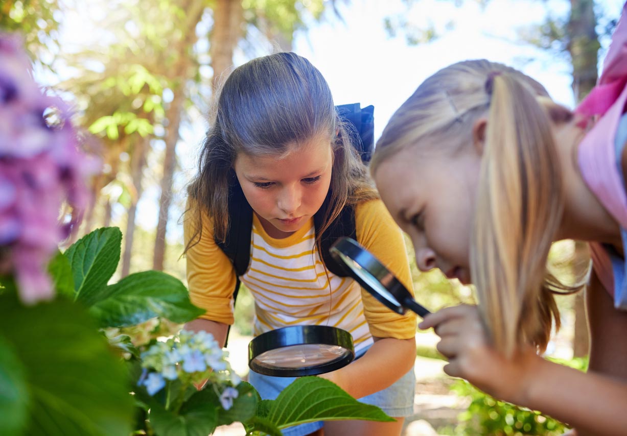 Enfant cherchent dans un buisson avec loupes