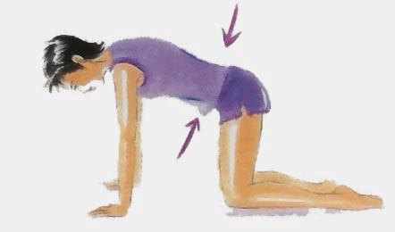 Exercice Dorsal Position Numero 2