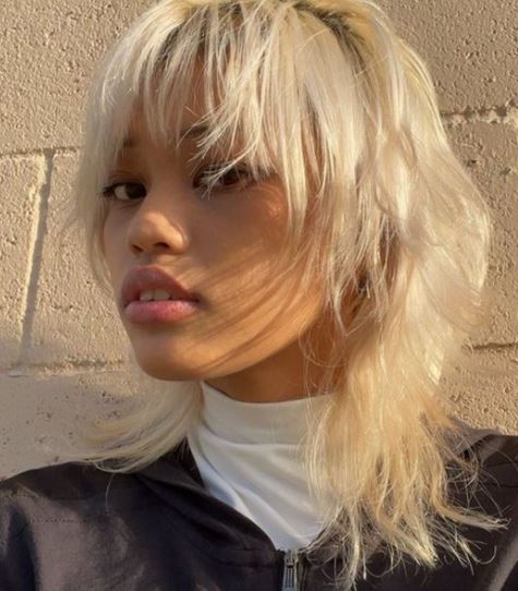 Coupe Wolf cut