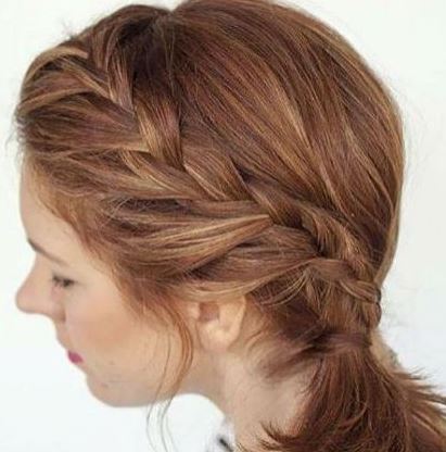 tresse Africaine Et Queue De Cheval