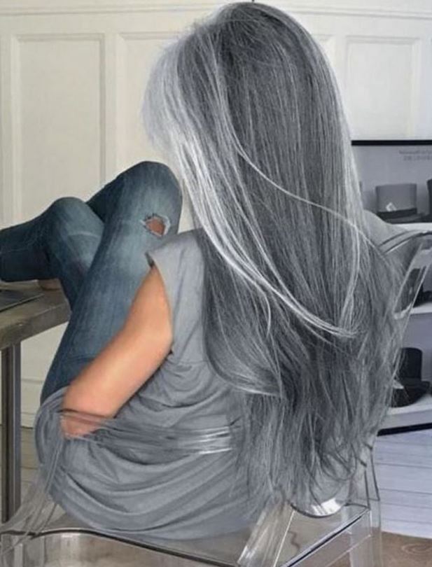 gris Mèches Blanches 