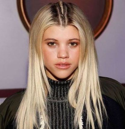 tresse Raie Au Milieu