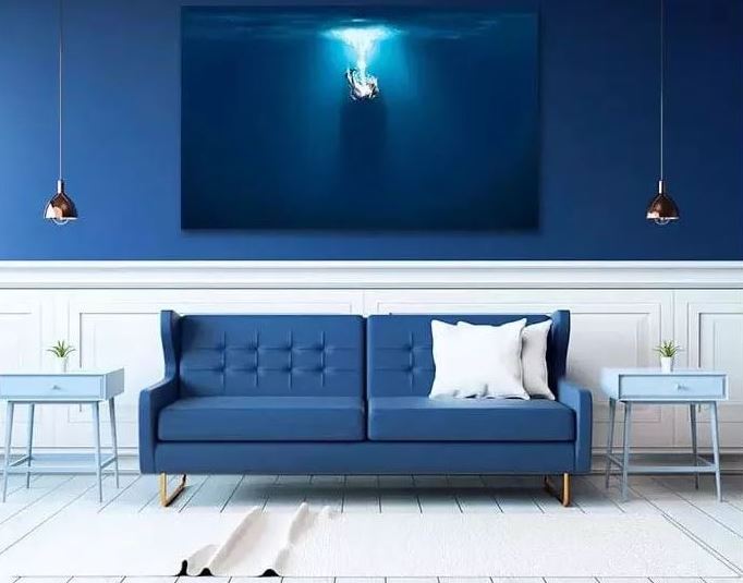 bleu Roi Et Blanc 