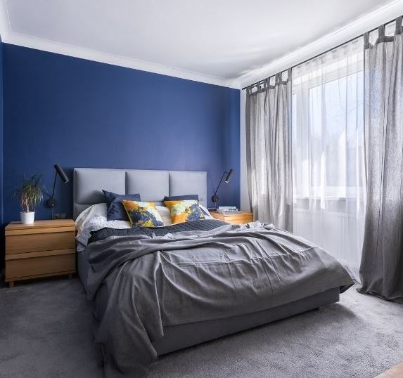 bleu Roi Et Gris 