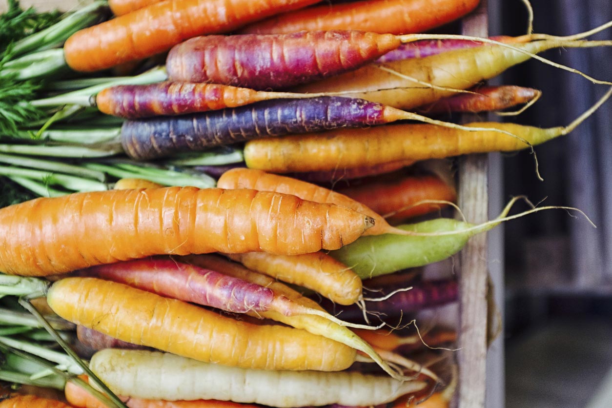 différentes variétés de carottes