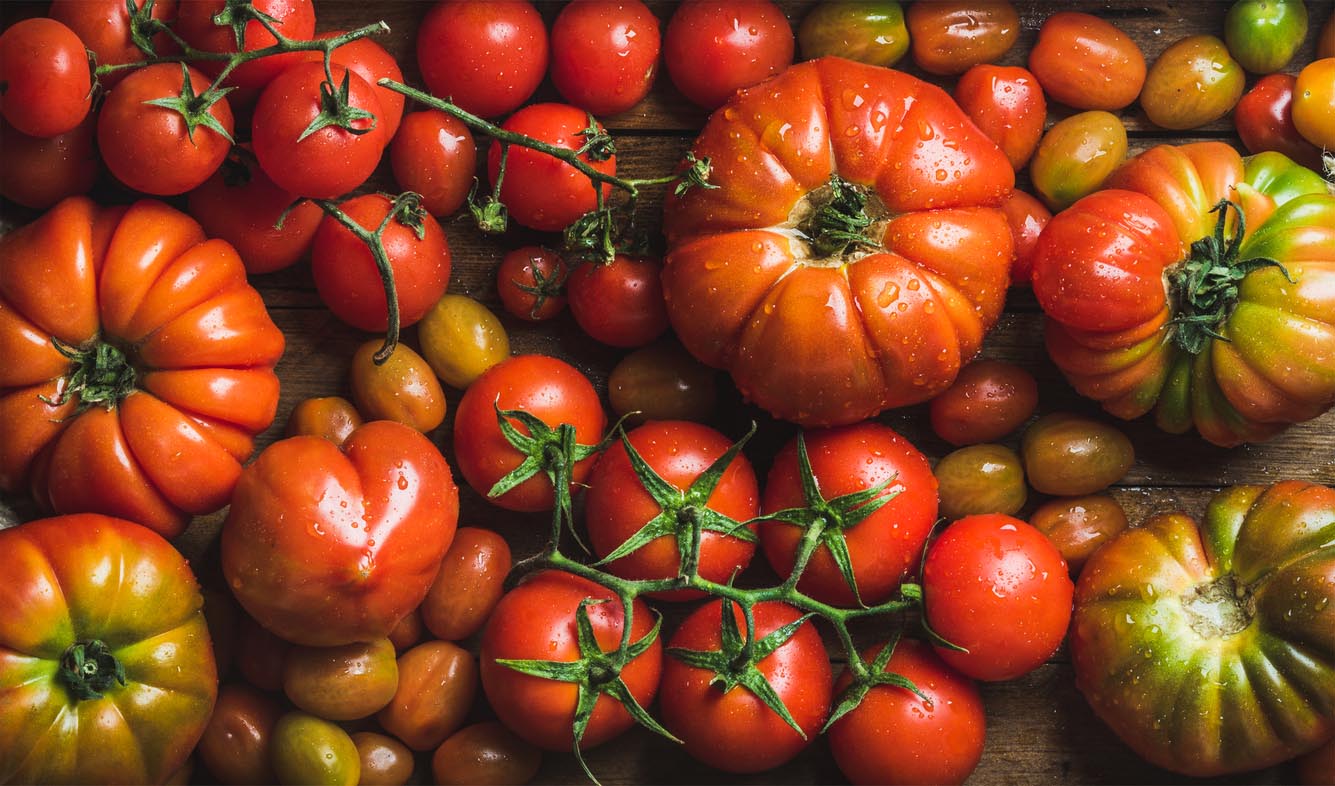 différentes variétés de tomates sur fond de bois