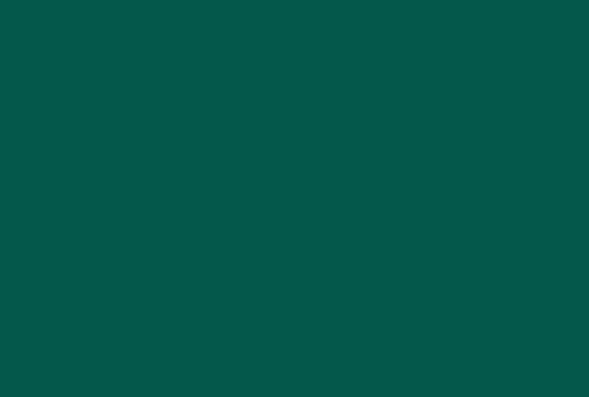 Ral 6036