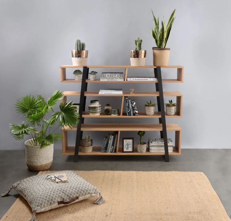 bibliothèque Actuelle Et De Caractère
