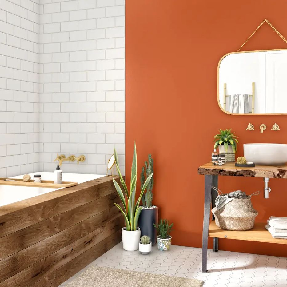 salle De Bain Terracotta 