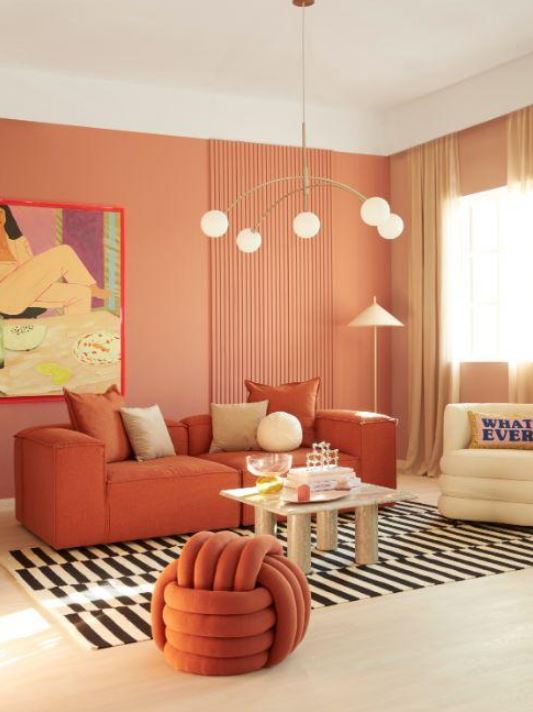 salon Contemporain Ambiance Terracotta 