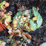 Avoir Une Terre Riche Sans Angrais Chimique, Compost